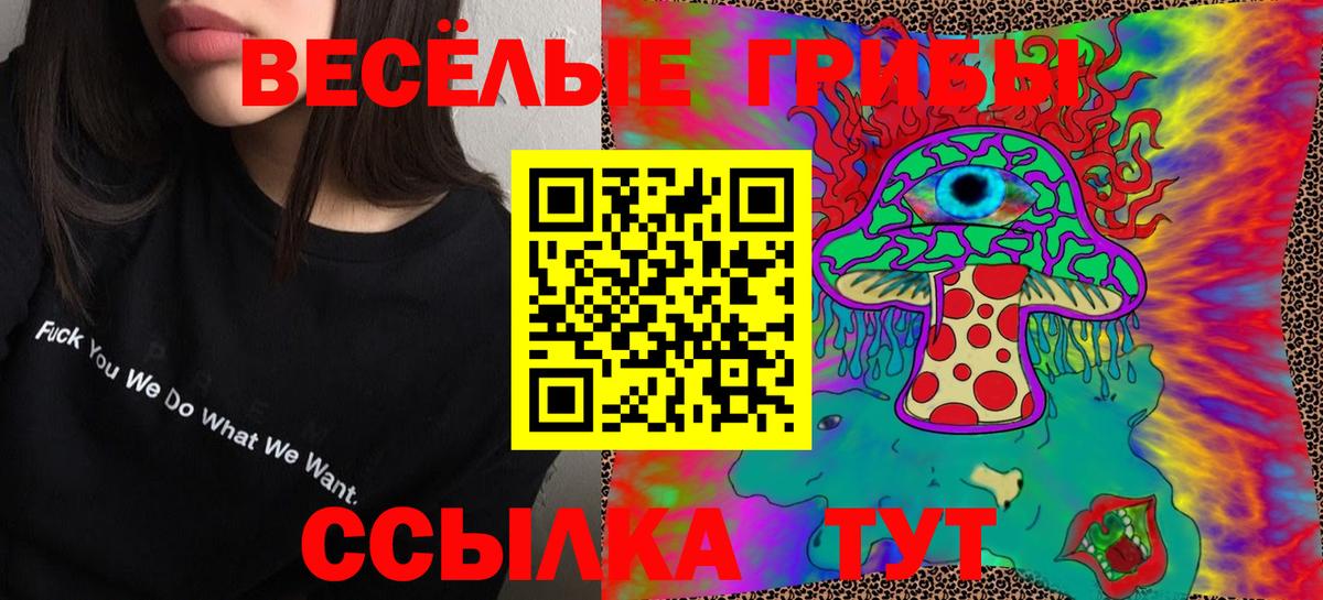 Галлюциногенные грибы GOLDEN TEACHER Москва
