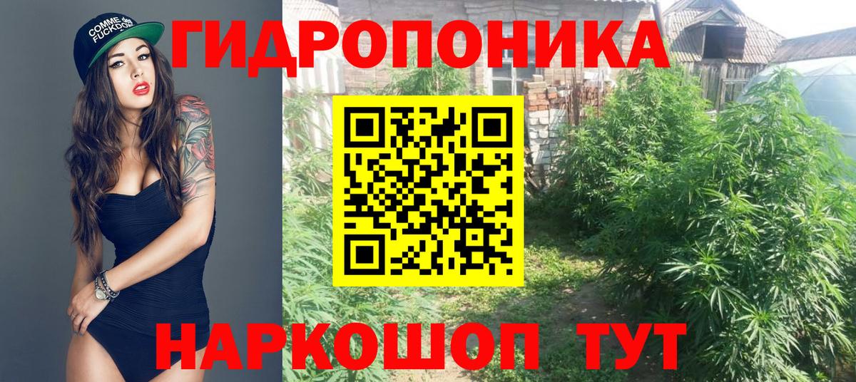 Москва  МАРИХУАНА Bruce Banner  Вход с VPN  Конопля марихуана  Марихуана Bruce Banner  Бошки Шишки индика 